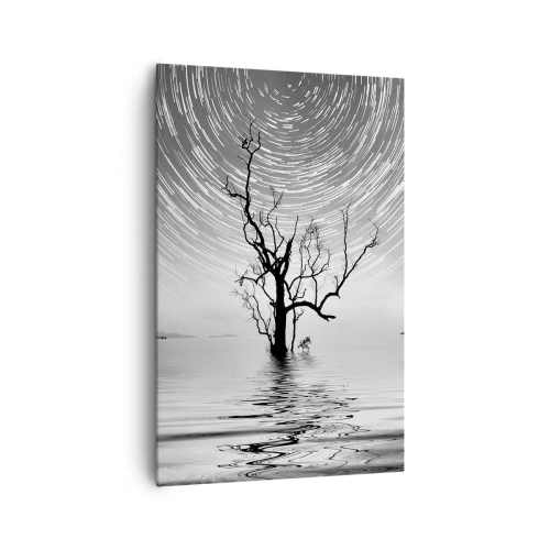 Cuadro sobre lienzo - Impresión de Imagen - Un árbol en el agua bajo un cielo nocturno con estrellas en movimiento. - 80x120cm - Una sinfonía de la naturaleza - Decoración de pared moderna para salón y dormitorio ARTTOR