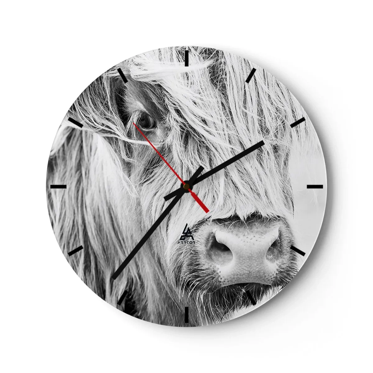 Reloj de pared - Reloj de vidrio - Retrato de un ganado escocés de pelo largo en blanco y negro - 30x30cm - La naturaleza escocesa - Decoración de pared moderna para salón, cocina y dormitorio ARTTOR