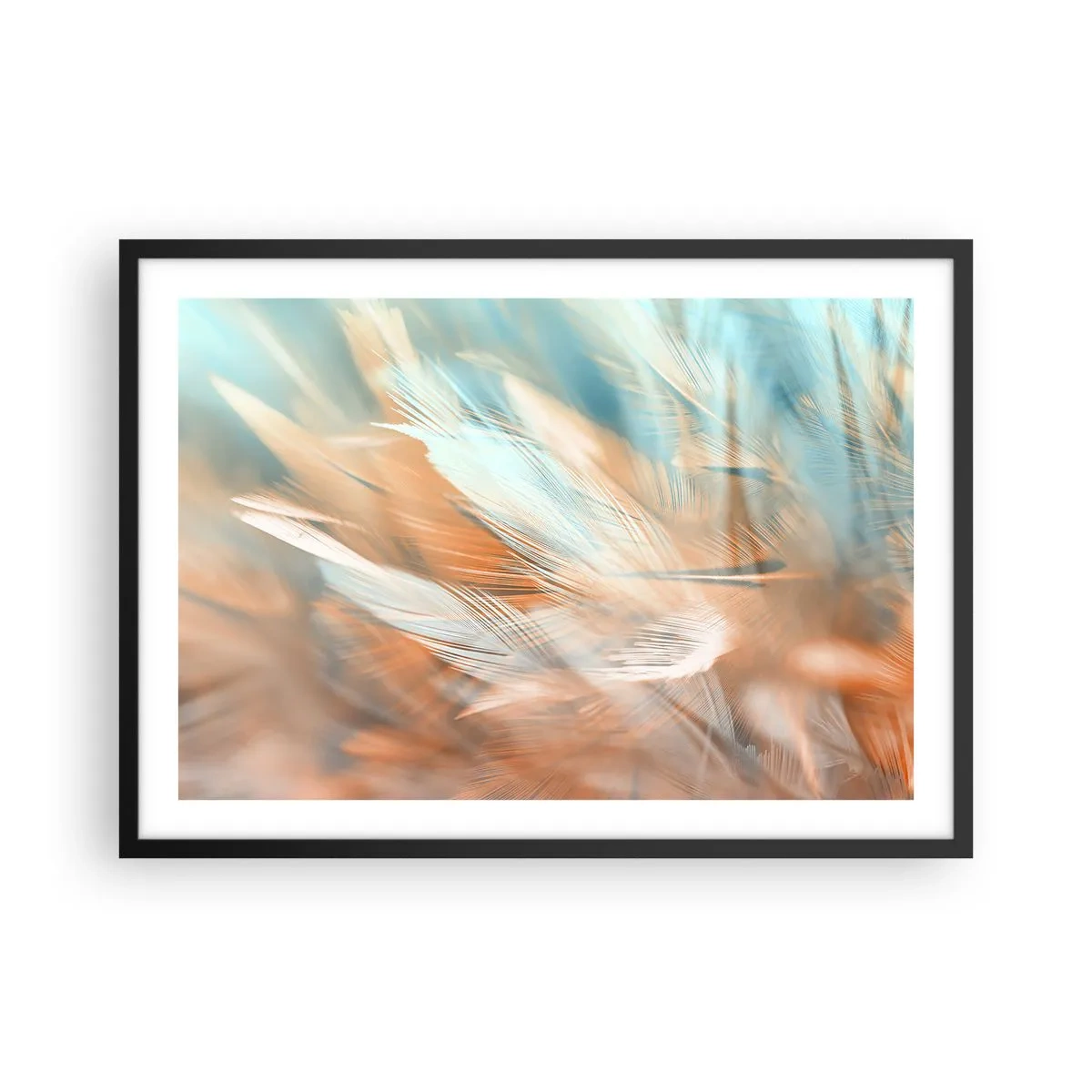 Póster en marco negro - Delicadas plumas en tonos pastel de azul y naranja. - 70x50cm - En la tierra de la suavidad - Decoración de pared moderna para salón y dormitorio ARTTOR
