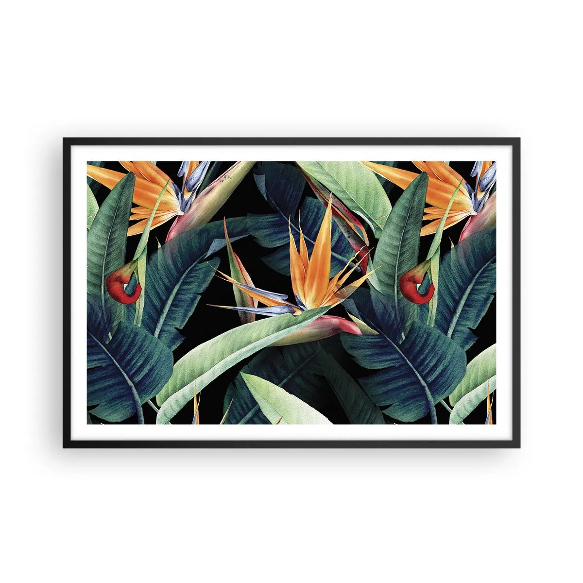Póster en marco negro - Flores de llamas de los trópicos - 91x61 cm