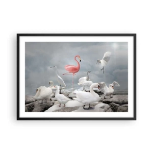 Póster en marco negro - Un flamenco rosado entre cisnes blancos con el fondo de un lago. - 70x50cm - ¿De dónde vengo? - Decoración de pared moderna para salón y dormitorio ARTTOR