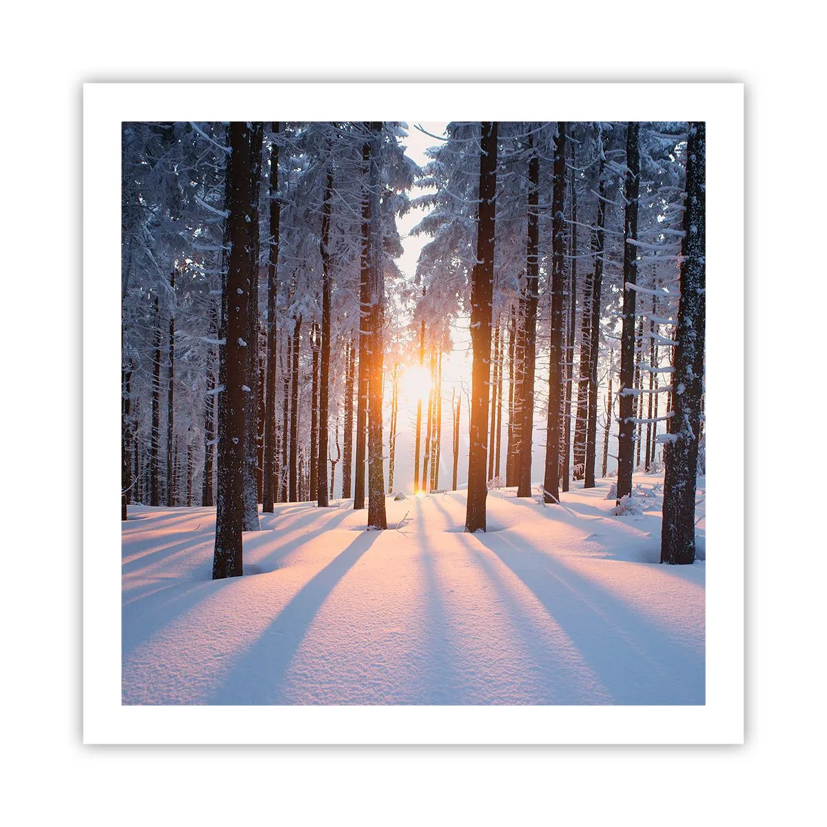 Póster - Claramente en blanco y negro - 60x60 cm