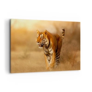 Cuadro sobre lienzo - Impresión de Imagen - Un tigre caminando por la sabana en colores cálidos. - 120x80cm - Antes del ataque - Decoración de pared moderna para salón y dormitorio ARTTOR