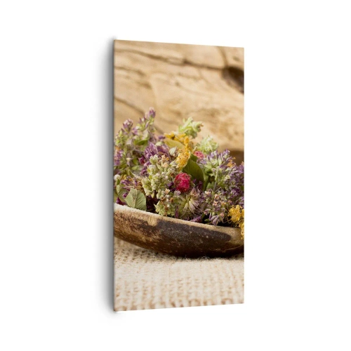 Cuadro sobre lienzo - Impresión de Imagen - Flores coloridas y hierbas aromáticas - 65x120 cm
