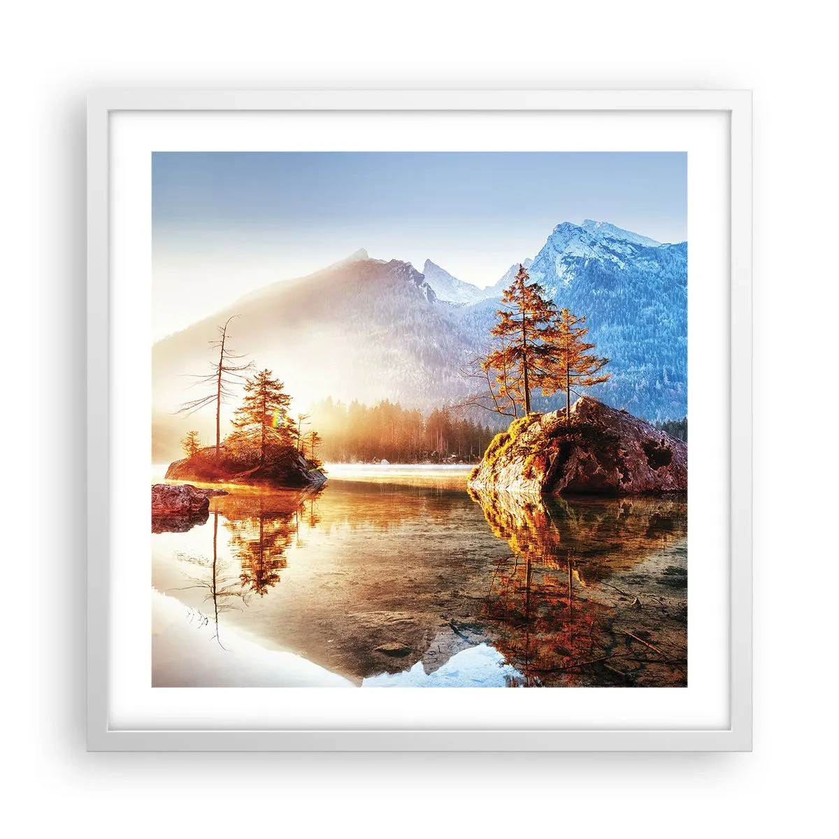 Póster en marco blanco - La naturaleza bajo la luz - 50x50 cm