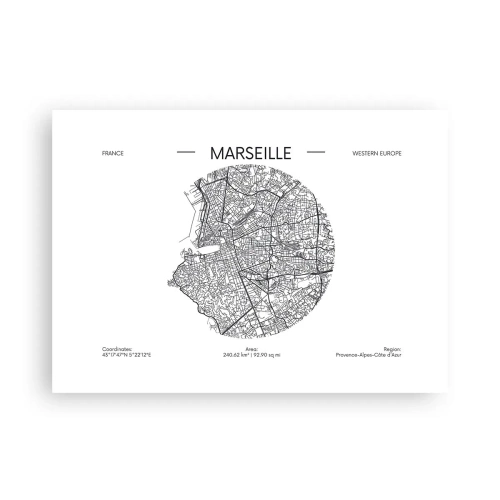 Póster - Anatomía de Marsella - 70x50 cm
