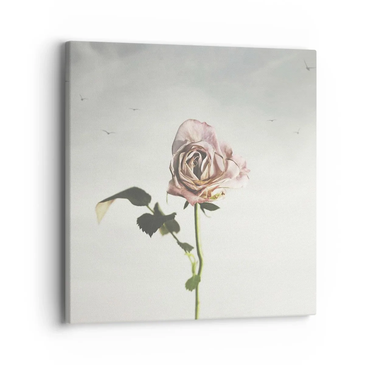 Cuadro sobre lienzo - Impresión de Imagen - Bienvenida a la primavera - 40x40 cm