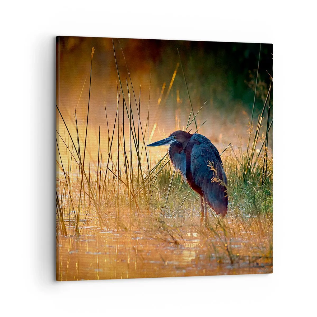 Cuadro sobre lienzo - Impresión de Imagen - Dame un respiro con estas fotos - 50x50 cm