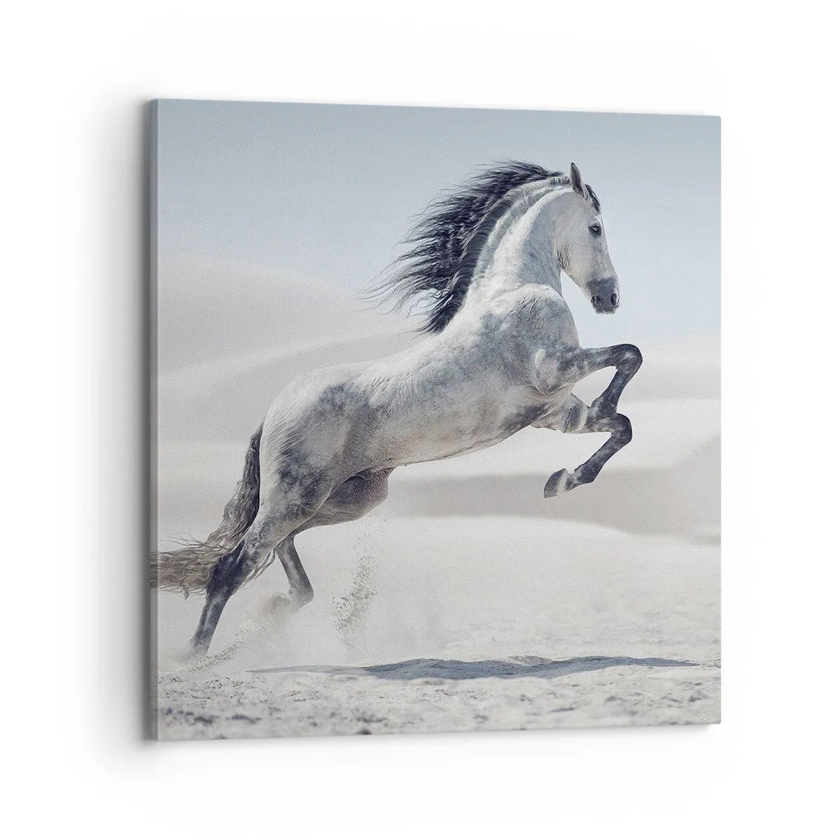 Cuadro sobre lienzo - Impresión de Imagen - Un príncipe árabe - 70x70 cm