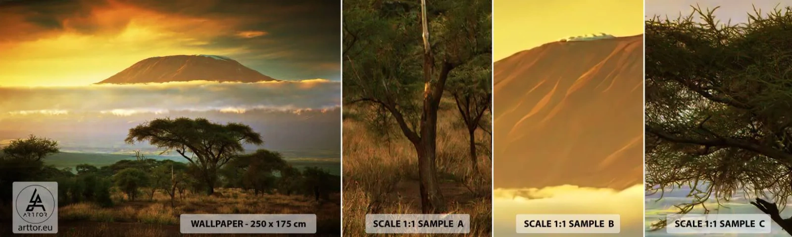 Muestra de fotomural autoadhesivo Deluxe Sticker - El sueño del viajero - Paisaje, monte Kilimanjaro, África - 100x30 cm