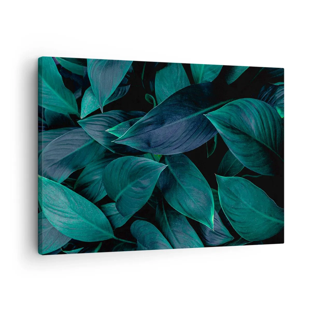 Cuadro sobre lienzo - Impresión de Imagen - Primer plano de hojas verdes con un fondo oscuro - 70x50cm - El propio verde - Decoración de pared moderna para salón y dormitorio ARTTOR