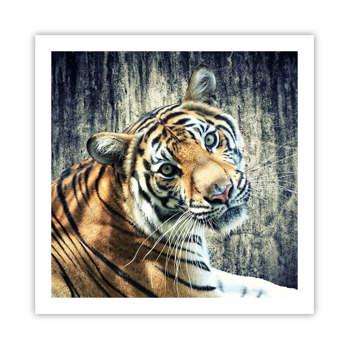 Póster - Retrato en corrientes de luz - 60x60 cm