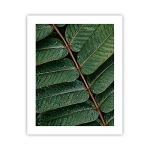 Póster - En un ritmo verde - 40x50 cm