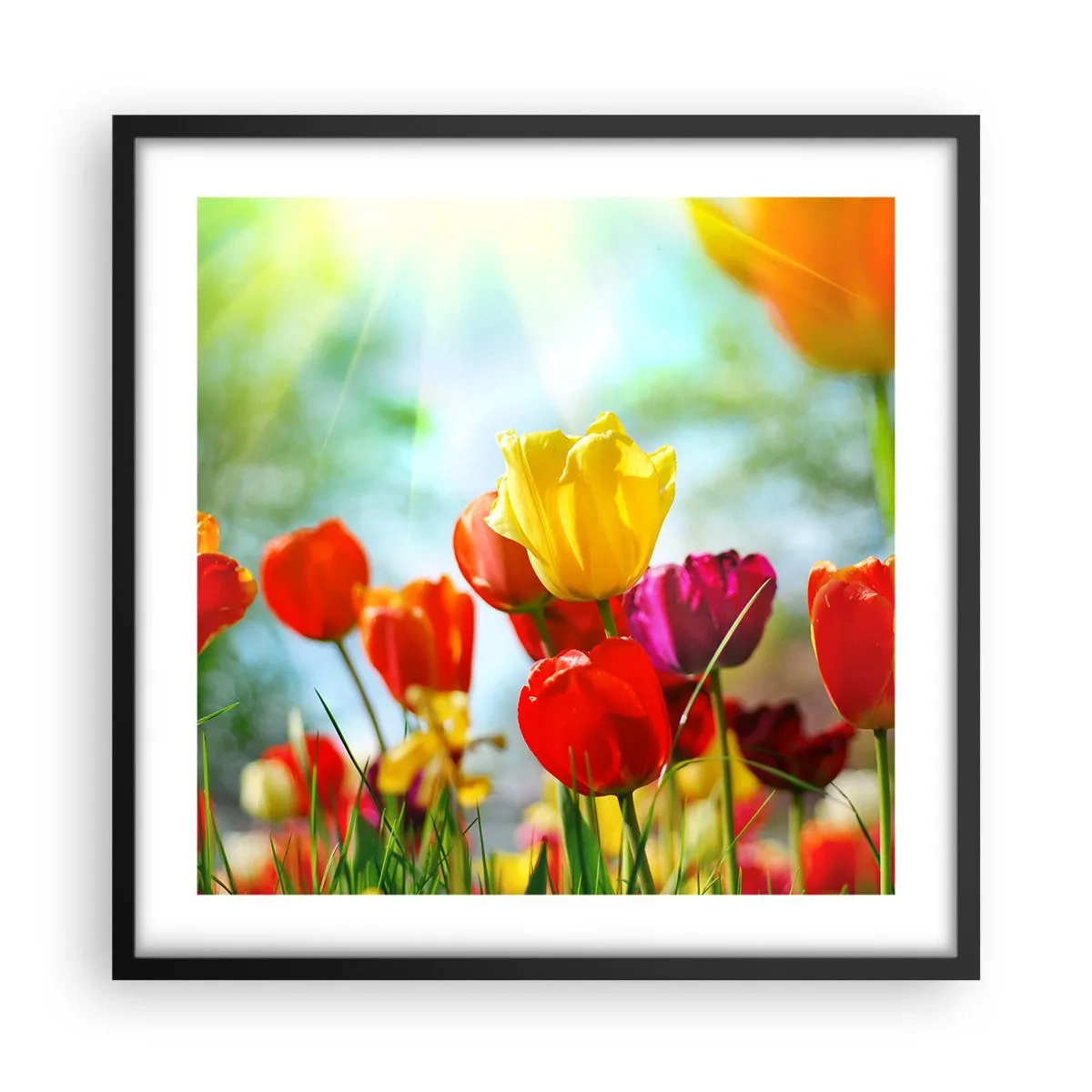 Póster en marco negro - Todos los tonos del sol - 50x50 cm