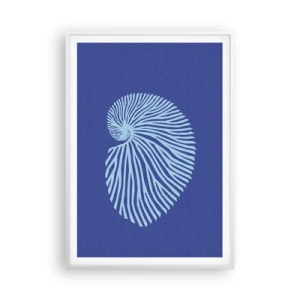 Póster en marco blanco - Nacimiento de una concha - 70x100 cm