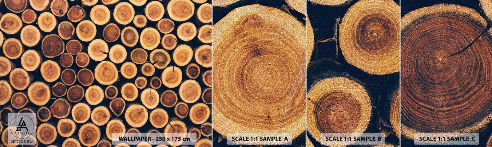 Muestra de fotomural Premium Sand - ¿Qué edad tengo? - Tronco de arbol, Bosque, Pedazo - 100x30 cm