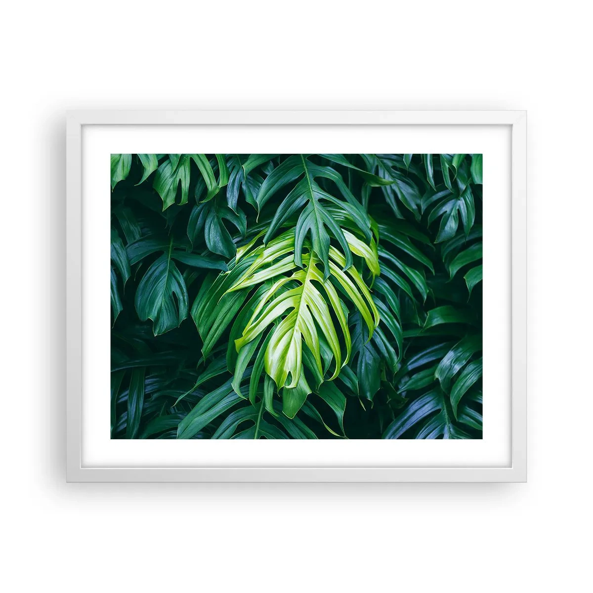 Póster en marco blanco - Sumérjase en la frescura - 50x40 cm