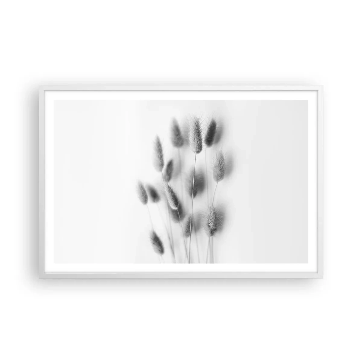 Póster en marco blanco - Esponjas naturales - 91x61 cm