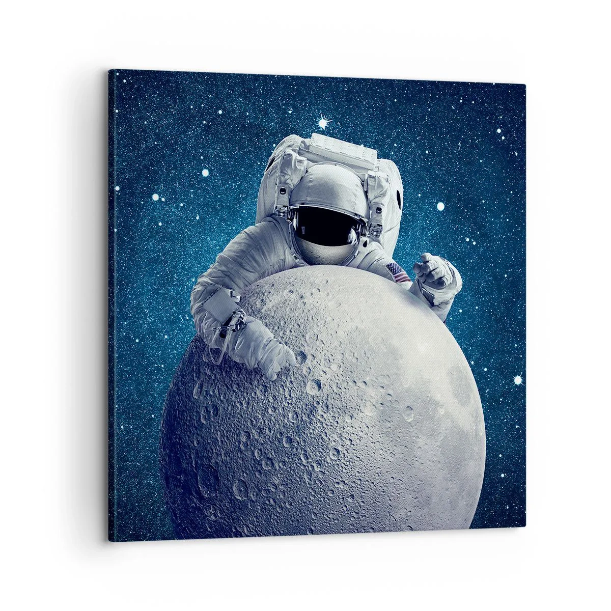 Cuadro sobre lienzo - Impresión de Imagen - Bromista espacial - 60x60 cm