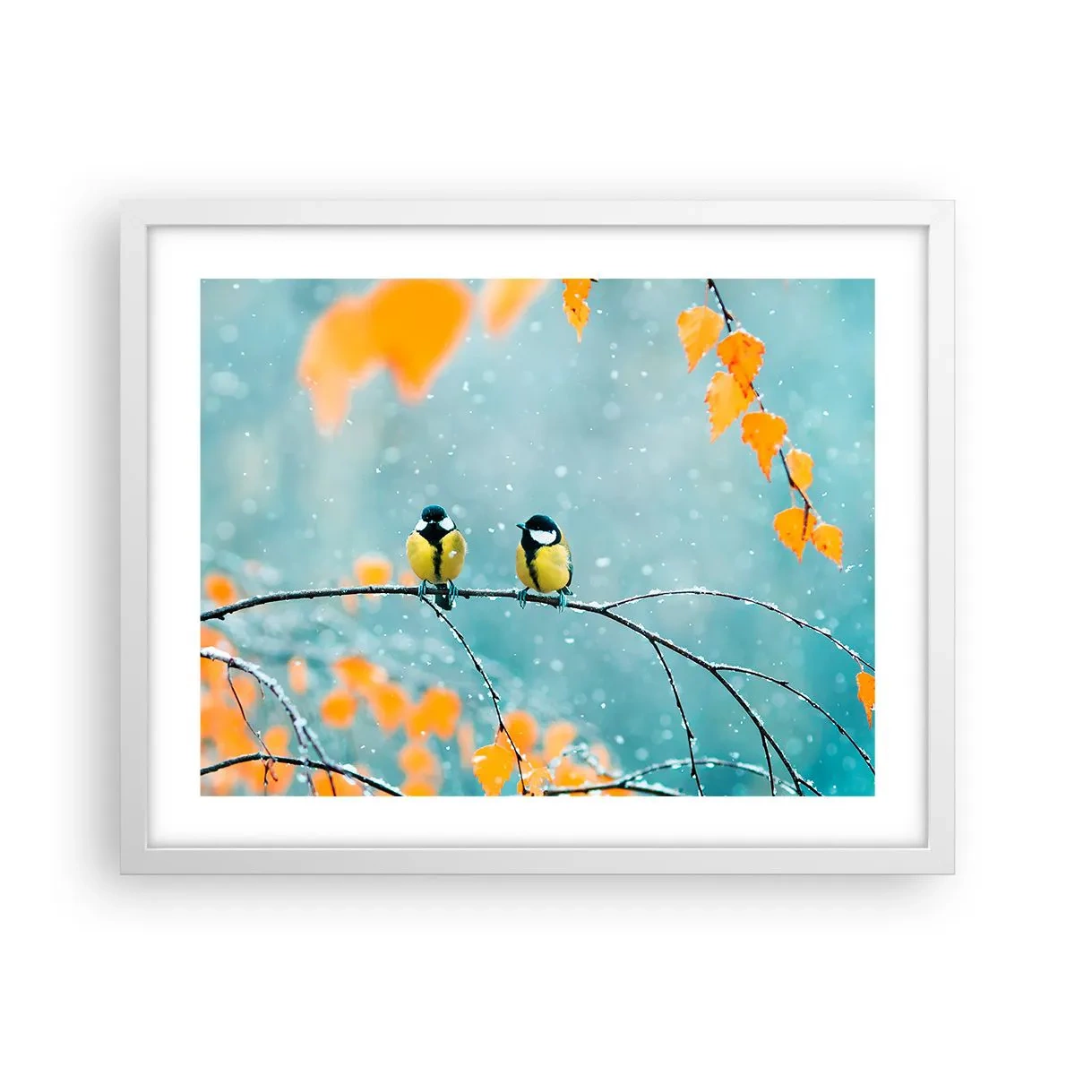 Póster en marco blanco - Cotilleo de pájaros - 50x40 cm