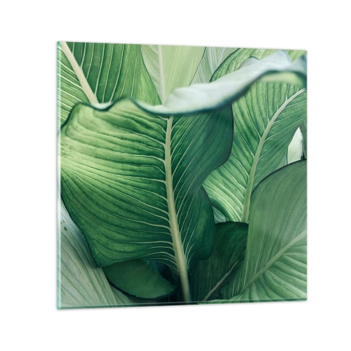 Cuadro sobre vidrio - Impresiones sobre Vidrio - Vida intensamente verde - 30x30 cm