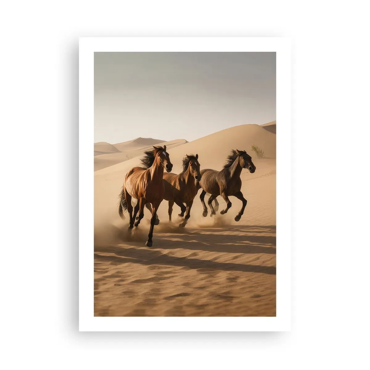Póster - Caballos galopando en el desierto bajo la cálida luz del atardecer. - 50x70cm - Libre como el viento - Decoración de pared moderna para salón y dormitorio ARTTOR