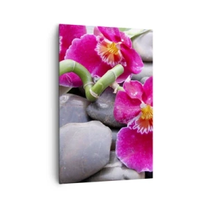 Cuadro sobre lienzo - Impresión de Imagen - Orquídeas rosas sobre un fondo de piedras lisas. - 80x120cm - Frío y calor - Decoración de pared moderna para salón y dormitorio ARTTOR