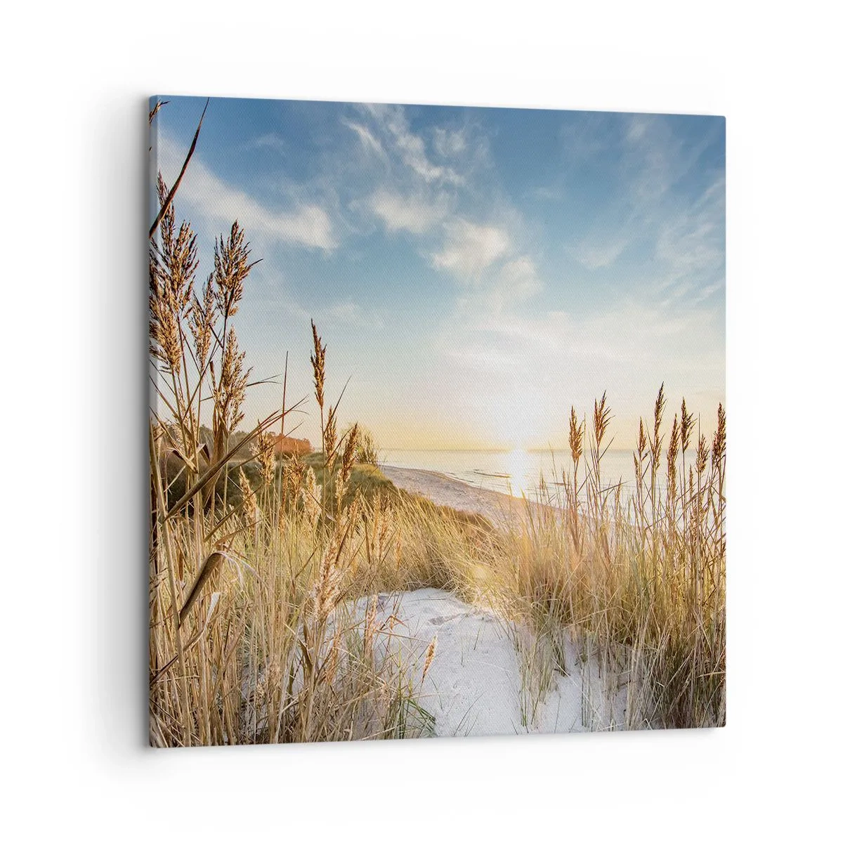Cuadro sobre lienzo - Impresión de Imagen - Playa del norte - 60x60 cm