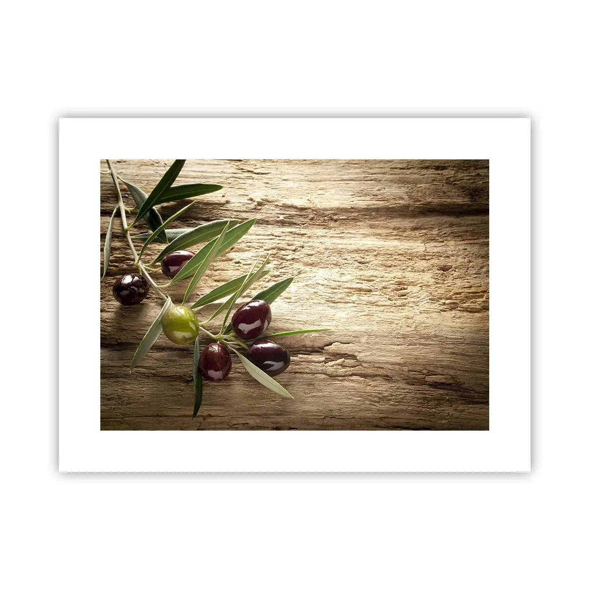 Póster - Directamente de la naturaleza - 40x30 cm