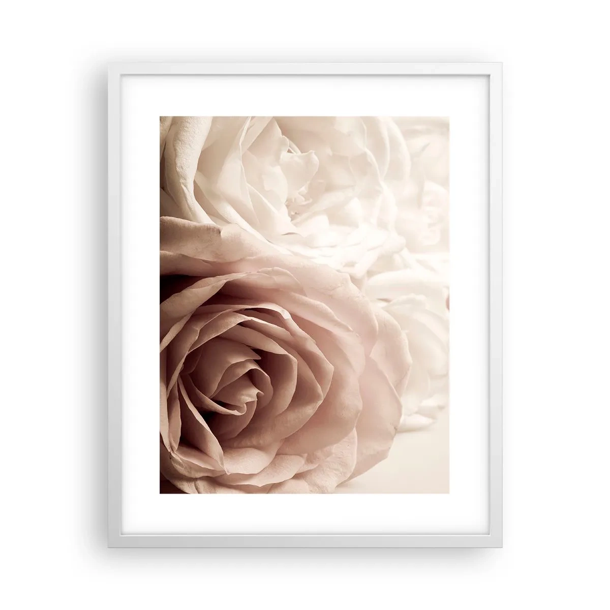 Póster en marco blanco - En el corazón de una rosa - 40x50 cm
