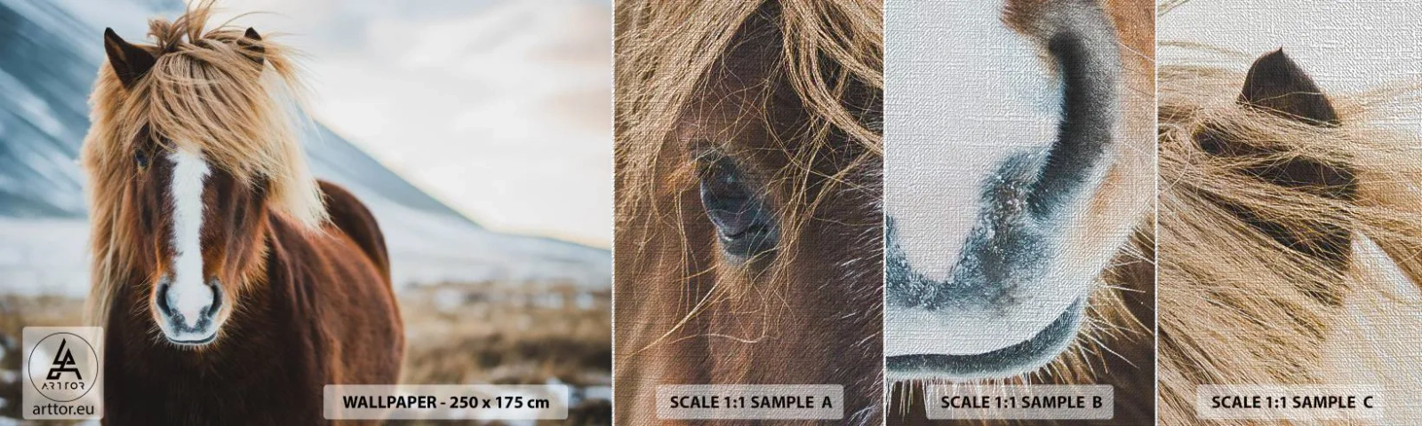 Muestra de fotomural Premium Canvas - ¿Puedes sentir la libertad? - Caballo, Naturaleza, animales - 100x30 cm