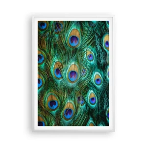 Póster en marco blanco - Mirada de pavo real - 70x100 cm