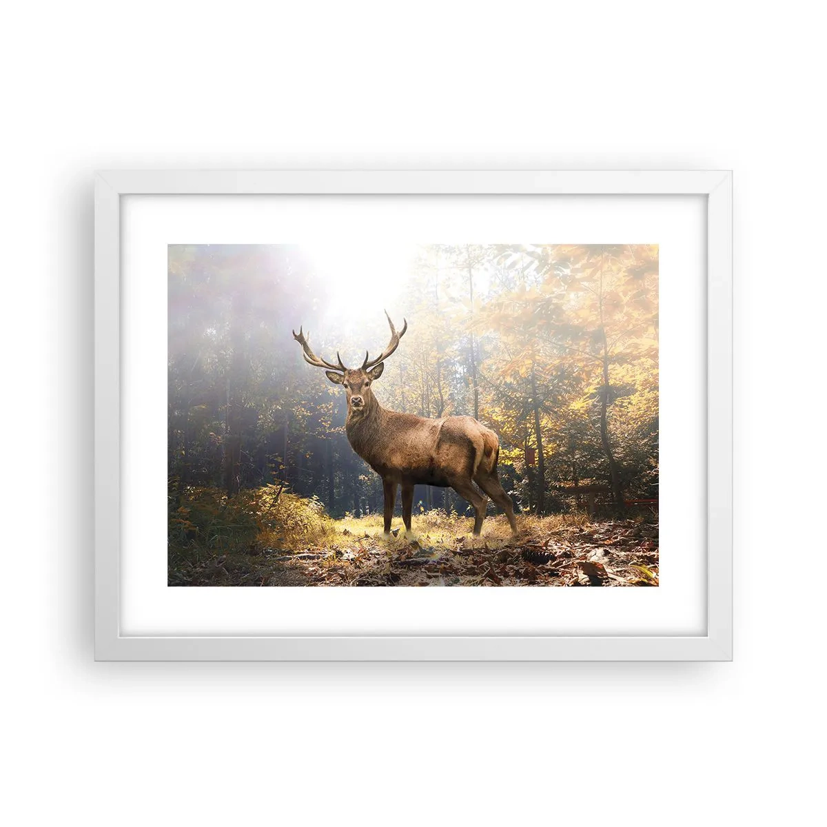 Póster en marco blanco - Con toda la majestuosidad - 40x30 cm