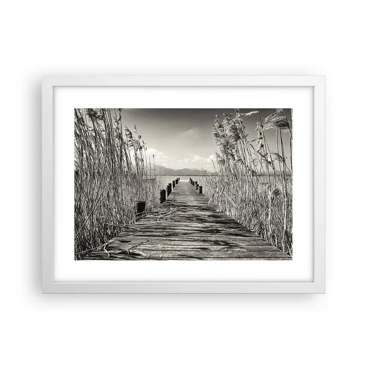 Póster en marco blanco - En la quietud de los juncos - 40x30 cm
