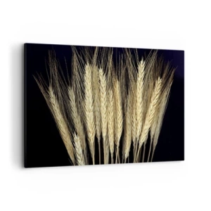 Cuadro sobre lienzo - Impresión de Imagen - Espigas de trigo sobre fondo negro en estilo rústico - 120x80cm - Magia rústica - Decoración de pared moderna para salón y dormitorio ARTTOR