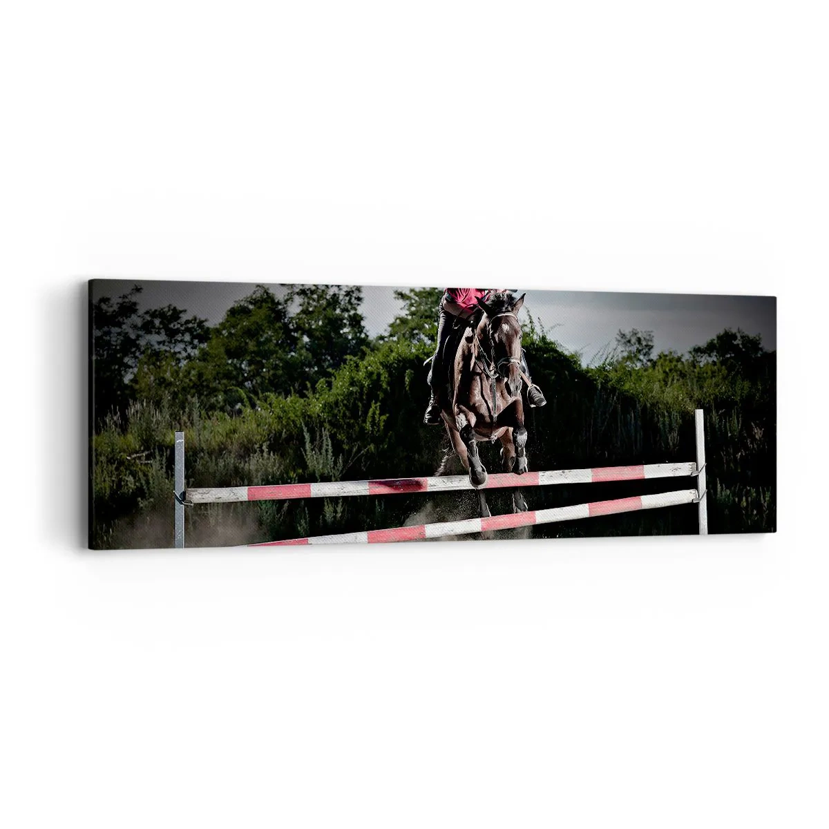 Cuadro sobre lienzo - Impresión de Imagen - Juntos por la victoria - 90x30 cm