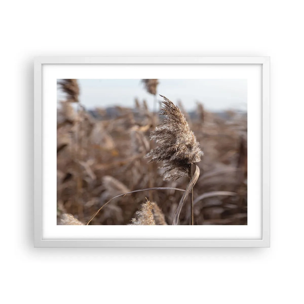 Póster en marco blanco - Es hora de volar con el viento - 50x40 cm