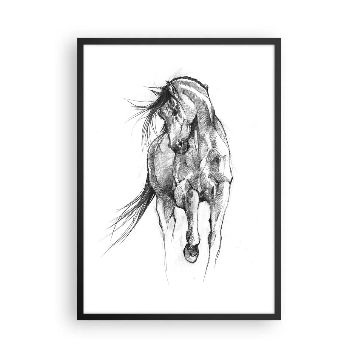 Póster en marco negro - Boceto de un caballo en una pose dinámica. - 50x70cm - En un elegante trote - Decoración de pared moderna para salón y dormitorio ARTTOR