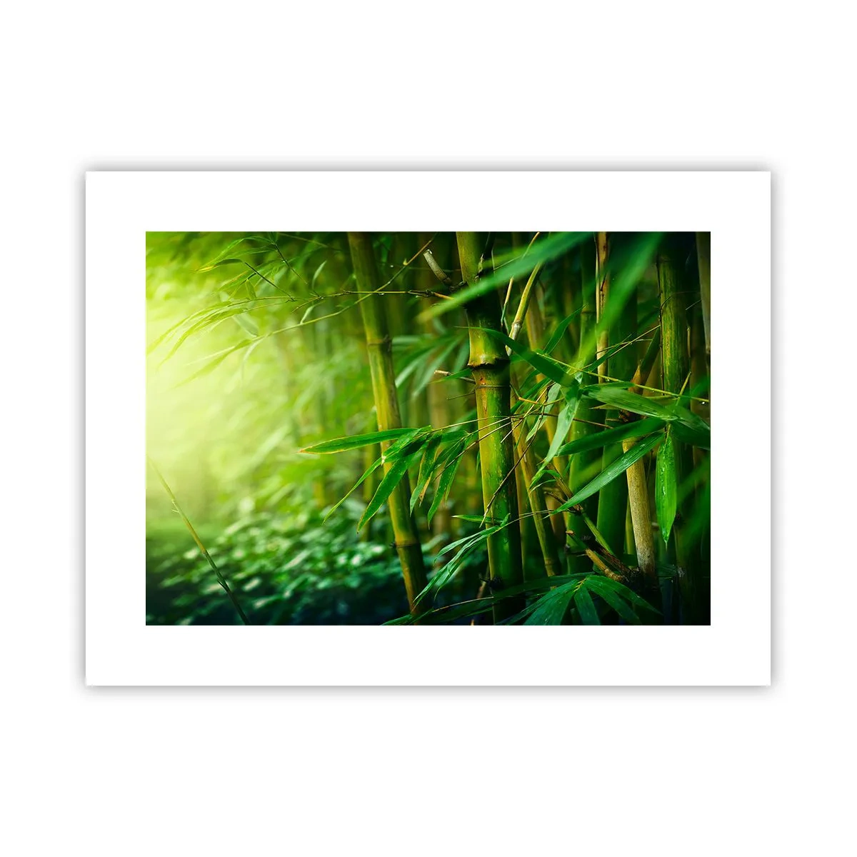 Póster - Conocer el propio verdor - 40x30 cm