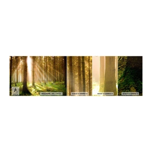 Muestra de fotomural autoadhesivo Deluxe Sticker - Los elfos se aproximan - Bosque, Rayos del sol, Naturaleza - 100x30 cm