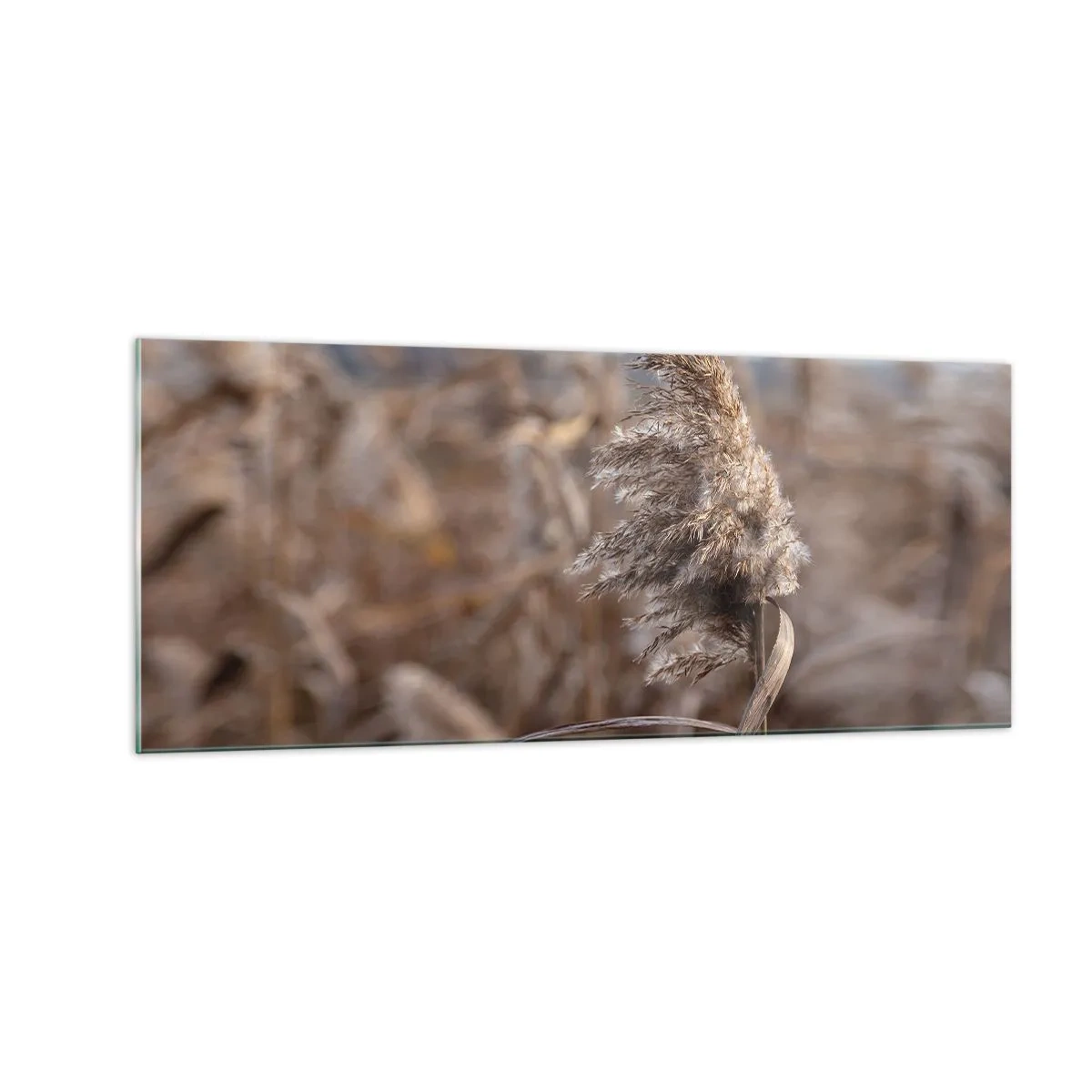 Cuadro sobre vidrio - Impresiones sobre Vidrio - Es hora de volar con el viento - 100x40 cm