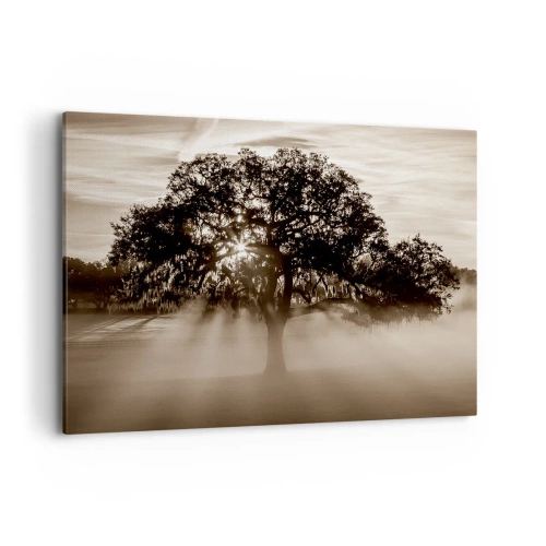 Cuadro sobre lienzo - Impresión de Imagen - Rayos de sol brillando a través de un árbol solitario. - 100x70cm - Un árbol de buenas noticias - Decoración de pared moderna para salón y dormitorio ARTTOR