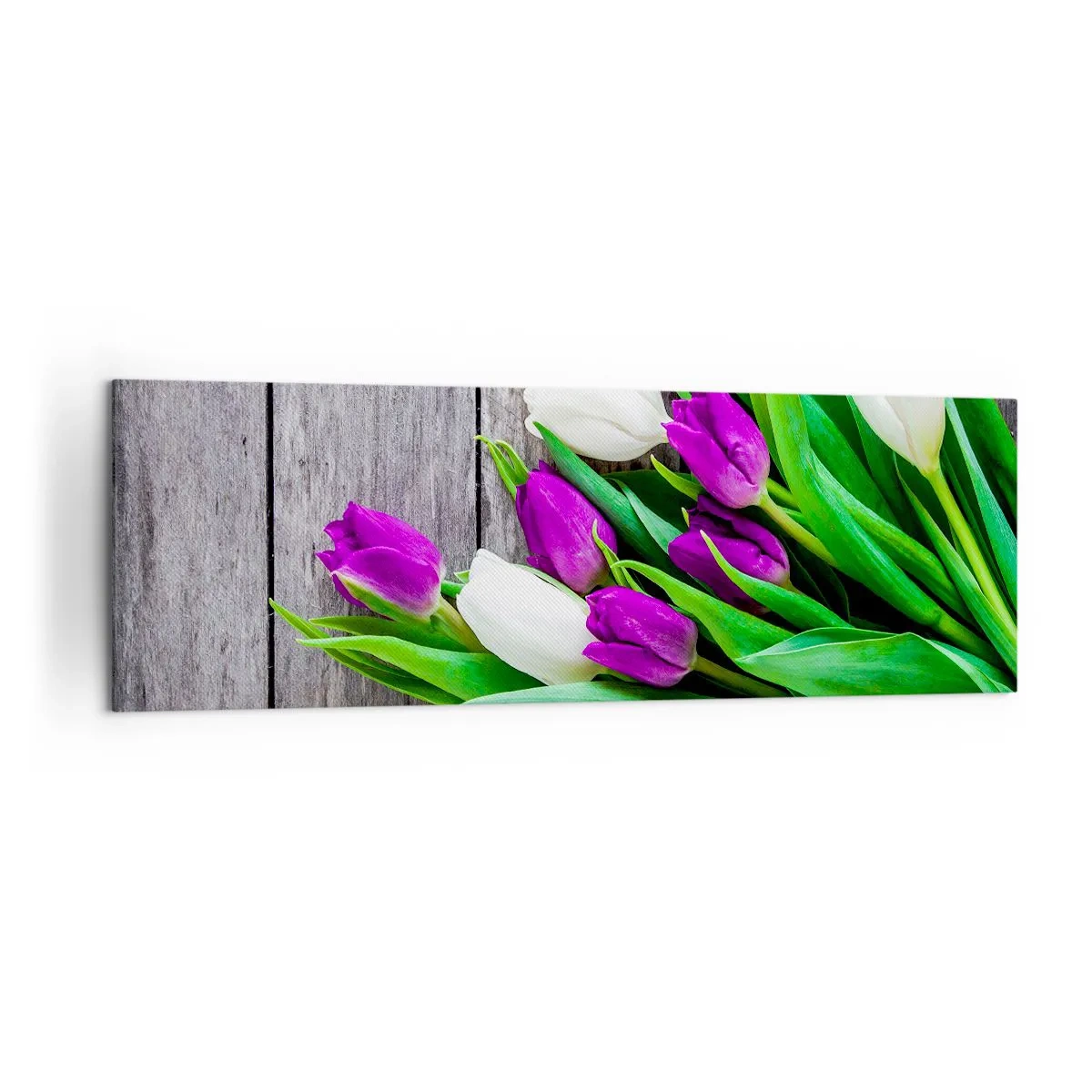 Cuadro sobre lienzo - Impresión de Imagen - Un ramo de tulipanes morados y blancos sobre un fondo de madera. - 160x50cm - El día de la fiesta de la primavera - Decoración de pared moderna para salón y dormitorio ARTTOR