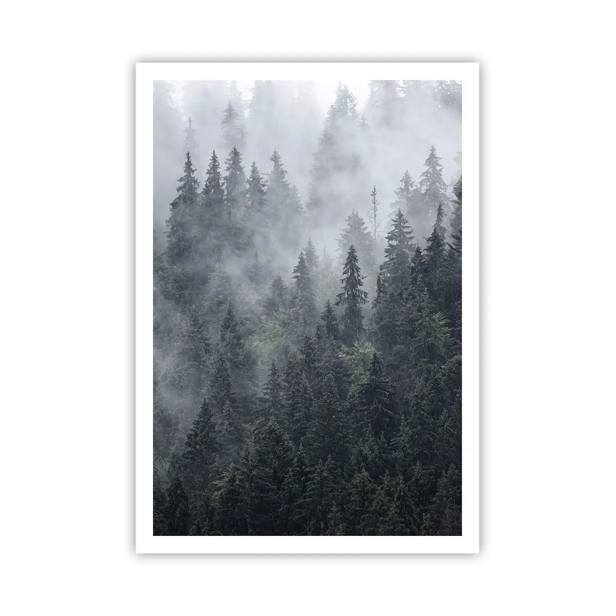 Póster - Amanecer en el bosque - 70x100 cm