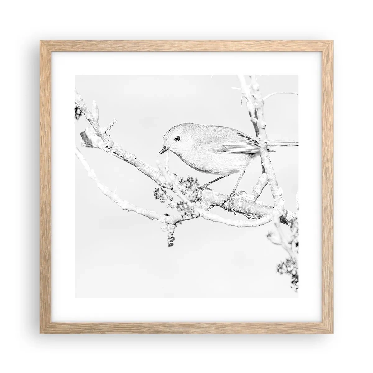 Póster en marco roble claro - Mañana de invierno - 40x40 cm
