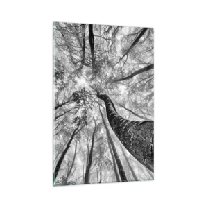 Cuadro sobre vidrio - Impresiones sobre Vidrio - Perspectiva de árboles en un bosque vistos desde abajo en tonos de gris. - 80x120cm - Carrera hacia la luz - Decoración de pared moderna para salón y dormitorio ARTTOR