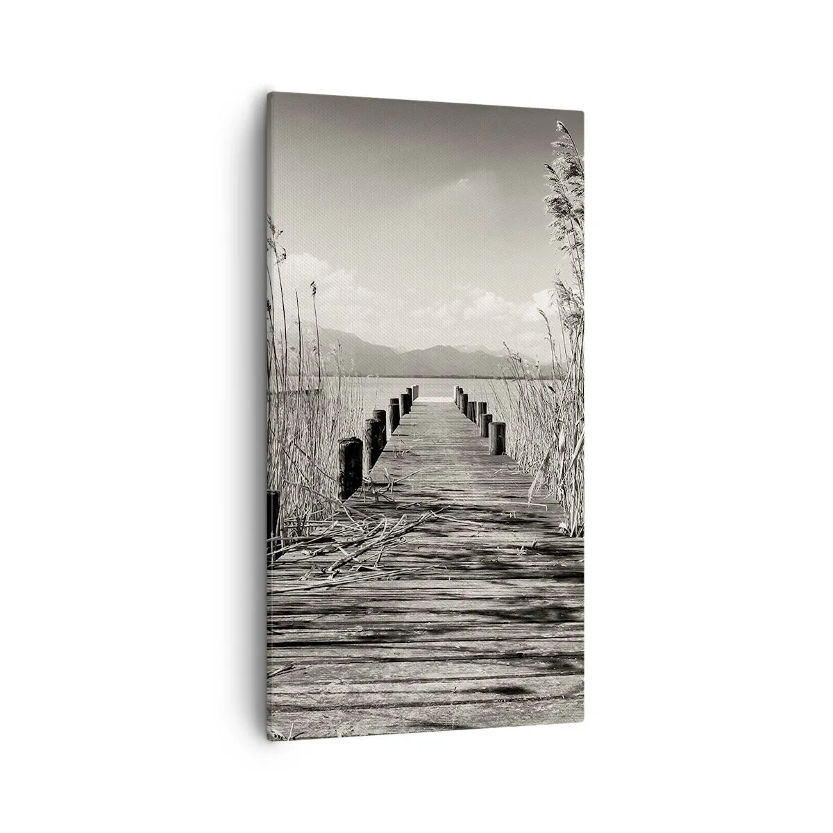 Cuadro sobre lienzo - Impresión de Imagen - En la quietud de los juncos - 55x100 cm