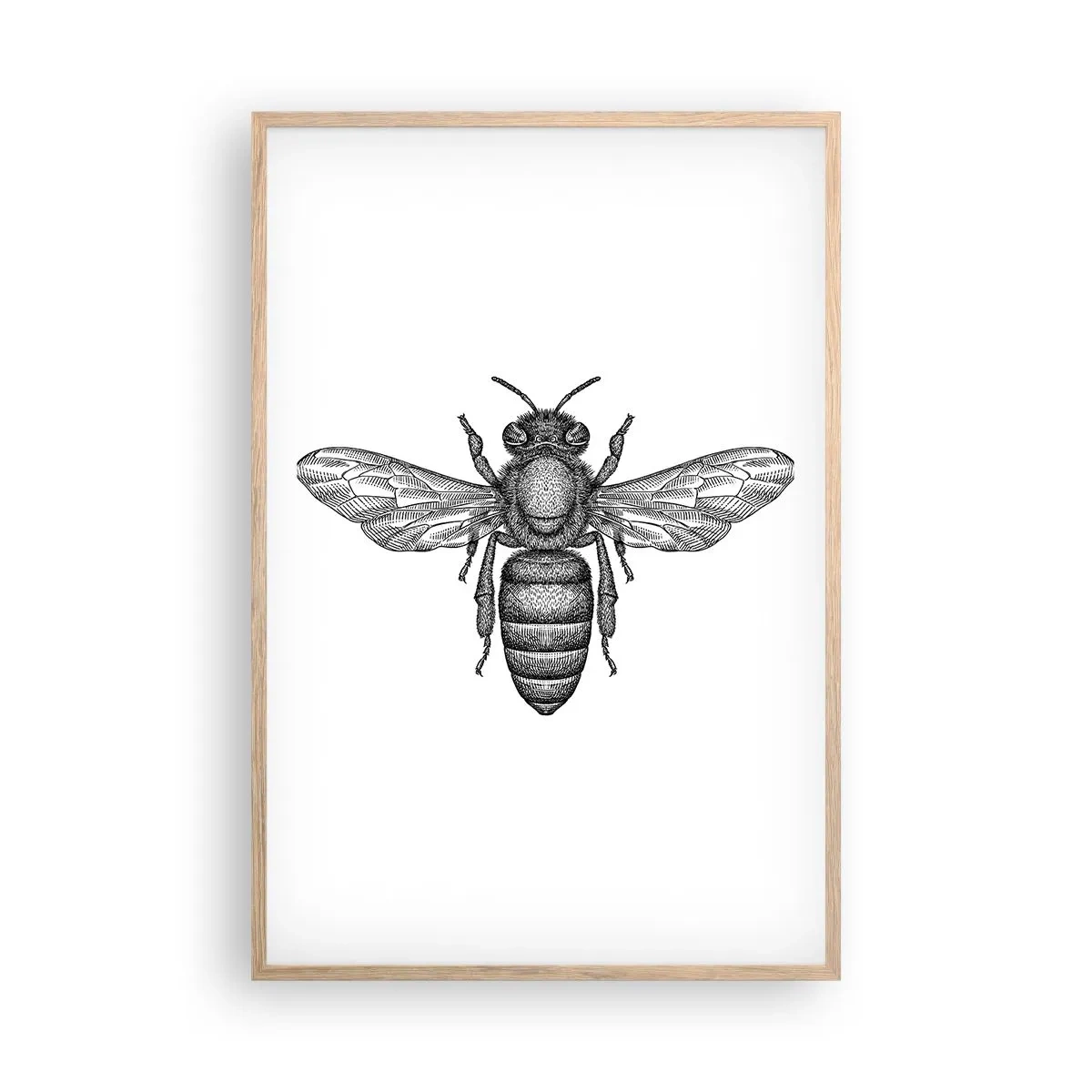 Póster en marco roble claro - Retrato de insecto - 61x91 cm