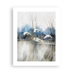 Póster - Como en un cuento de cisnes salvajes - 40x50 cm