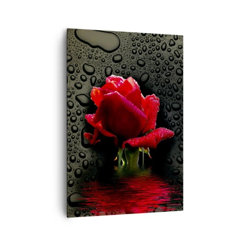 Cuadro sobre lienzo - Impresión de Imagen - Rosa roja con gotas de agua sobre un fondo oscuro - 70x100cm - Rojo y negro - Decoración de pared moderna para salón y dormitorio ARTTOR